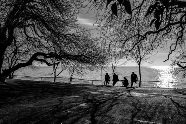 MONOCHROME